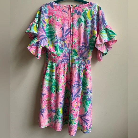 Lilly Pulitzer BLAIRE STRETCH DRESS - Picture 5 of 5